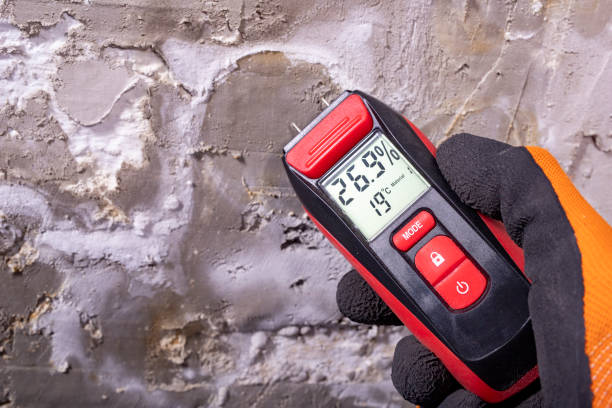 Best Attic Mold Remediation in Fair Lakes, VA