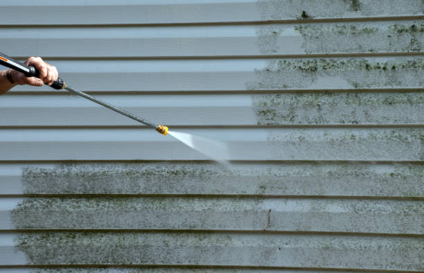 Best Mold Testing and Inspection Services in Fair Lakes, VA