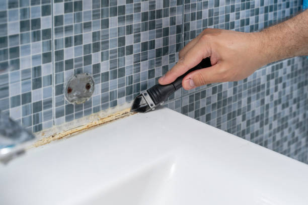 Best Post-Flood Mold Remediation in Fair Lakes, VA