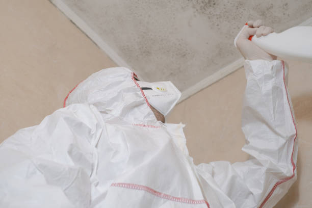 Fair Lakes, VA Mold Remediation Company